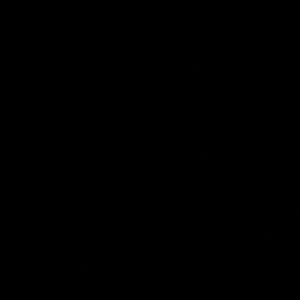 Meet your Posher, Lilly